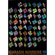 Igarashi Numbers